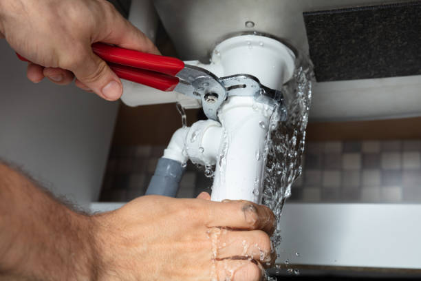 Best Ceiling water damage repair  in Burns Harbor, IN