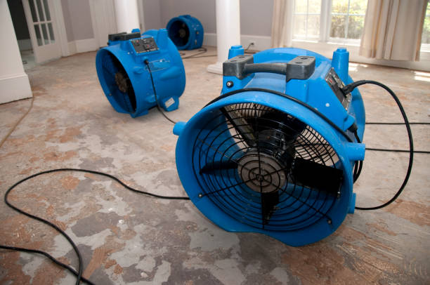 Fire Damage Restoration in IN