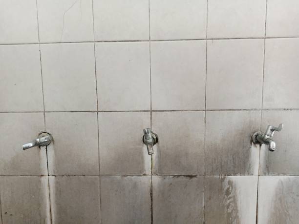 Best Residential water damage restoration  in Burns Harbor, IN