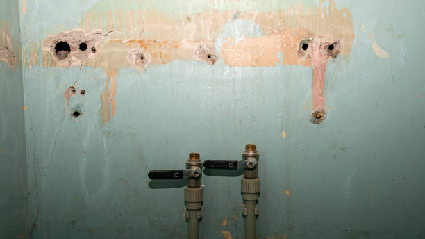 Best Residential water damage restoration  in Burns Harbor, IN
